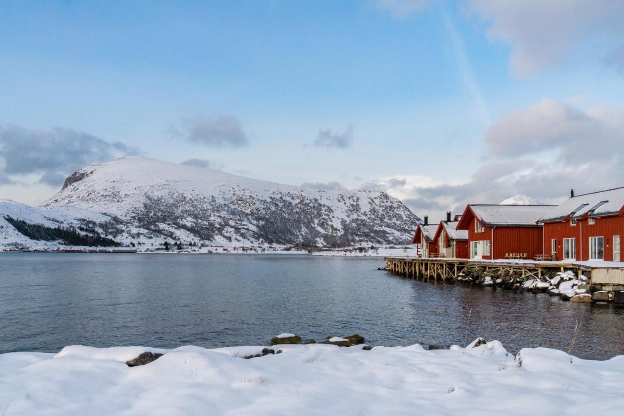Brand New Nappstraumen Seaview Cabin Vila Gravdal  Exterior foto